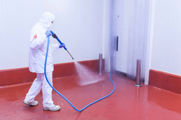 Best House Exterior Washing  in Severance, CO