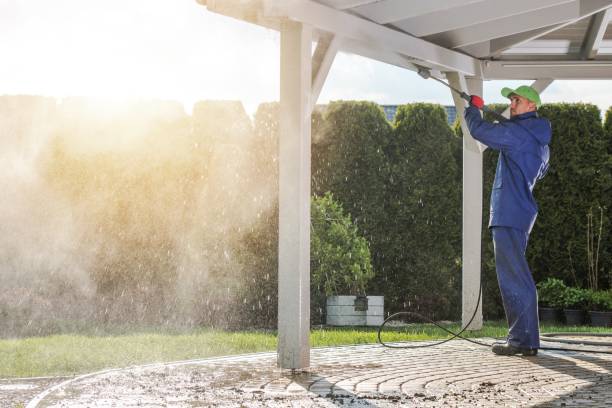 Best Dumpster Area Cleaning  in Severance, CO